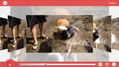 Perfect Pic iPhone screenshot 6 - Photo & Video app