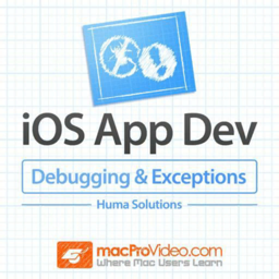 Debugging and Exception Guide
