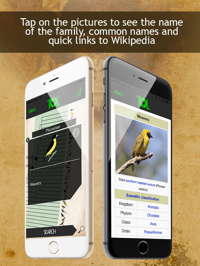 Tree of Life - ToL App