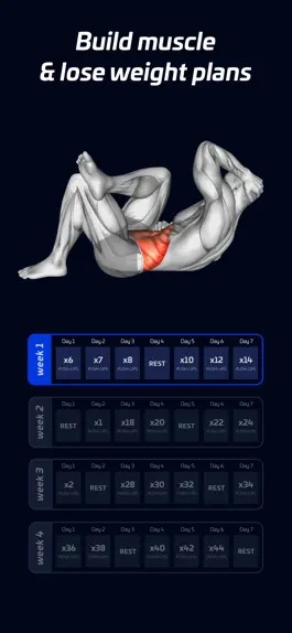 Game screenshot Fitness for muscles | Fitcher mod apk