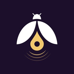 Fireflies - Friends & Deals