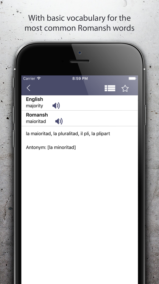 #3. Dictionary Romansh English (iOS) 由: Walter Degonda