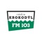 The Krokodyl app provides an opportunity to listen to radio broadcasts on the go