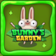 Bunny's Garden Puzzle