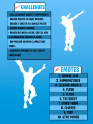 Tracker for Fortnite ipad bilder 2