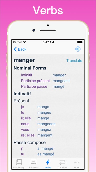 French Translator Dictionary + Screenshot