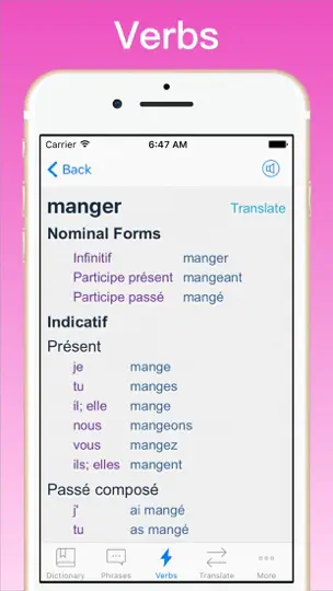 Capture d'écran de Traducteur Anglais Français + sur iPhone 5