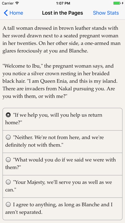 Lost in the Pages screenshot-3