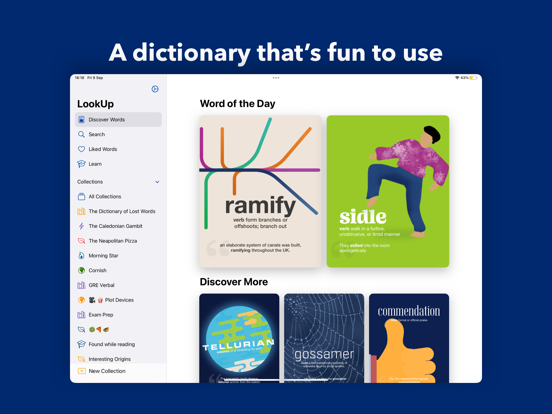 LookUp Dictionary: Learn Daily iPad app afbeelding 2