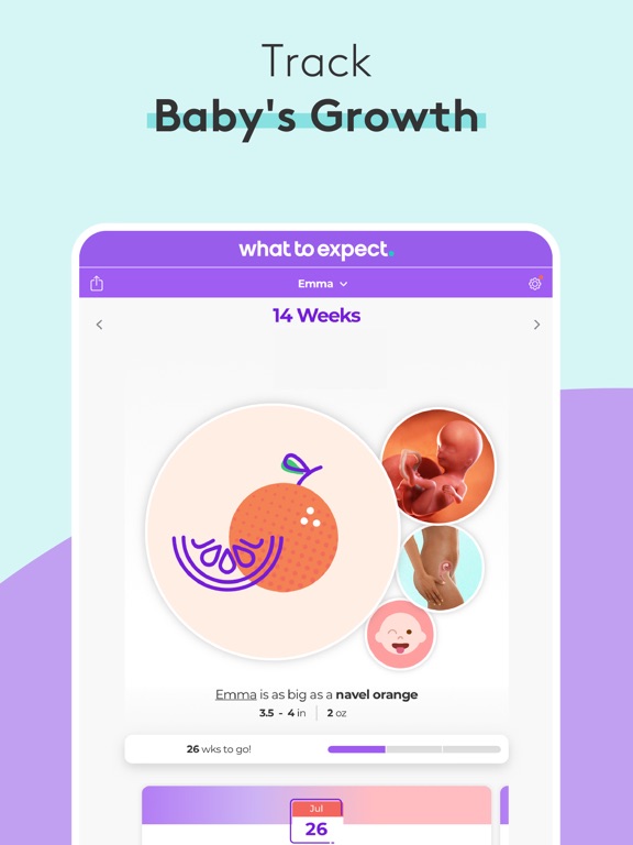 Screenshot #4 pour Pregnancy & Baby Tracker - WTE