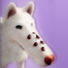 Dog ASMR: Skincare & Makeover icon