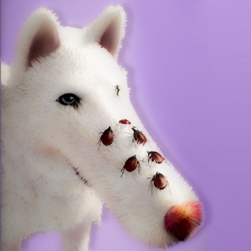 Dog ASMR: Skincare & Makeover Download