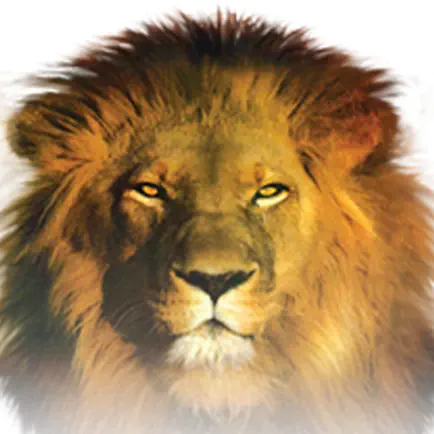 SHOFAR app Cheats