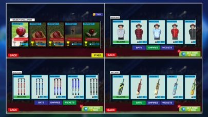 Indian Cricket Stars: T20 Game Screenshot