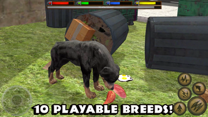 Ultimate Dog Simulator screenshot 5