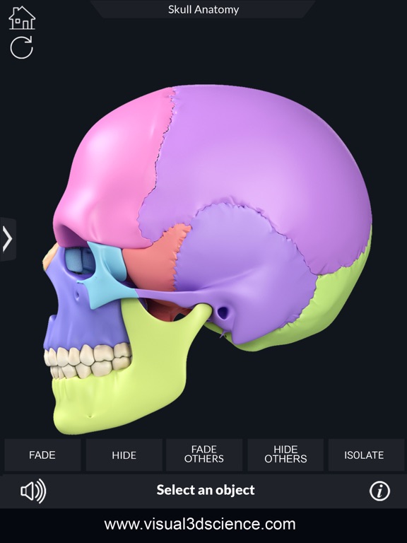 My Skull Anatomy iPad screenshot 7 - Medical app