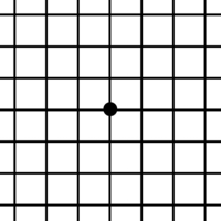 Amsler Grid App