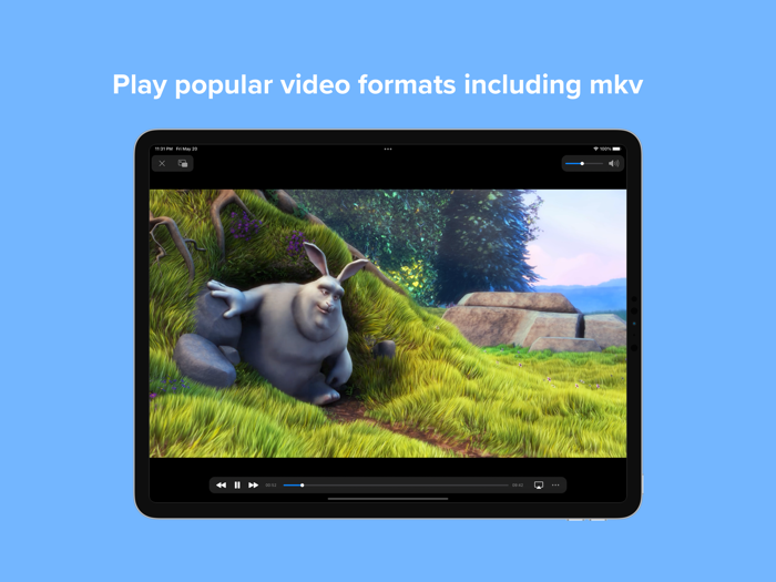 Video Player - PIP and more