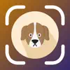 Dog AI Scanner and Identifier App Feedback