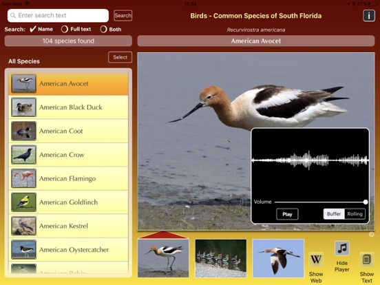 Screenshot #5 pour Birds of South Florida