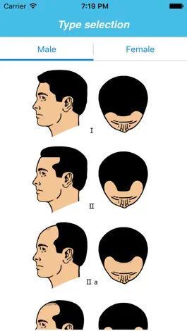 Game screenshot iHelmet mod apk