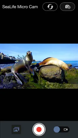 Game screenshot SeaLife Micro Cam hack