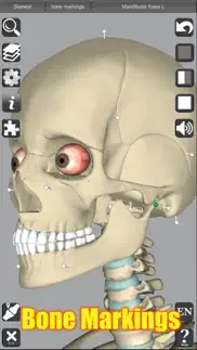 How to cancel & delete 3d anatomy 4