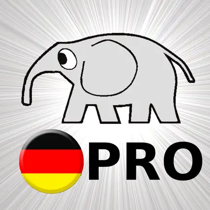 Deutsch Grammatik Test PRO Cheats