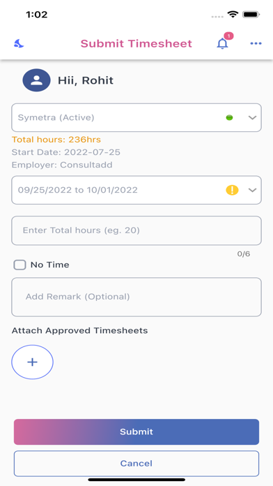 Consultadd Time Track Screenshot