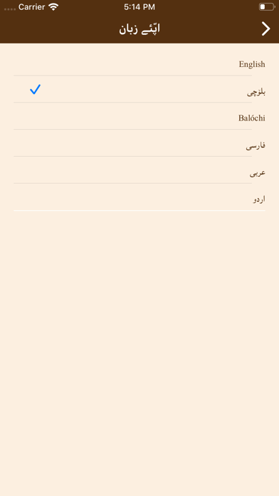 Balochi-English Dictionary Screenshot