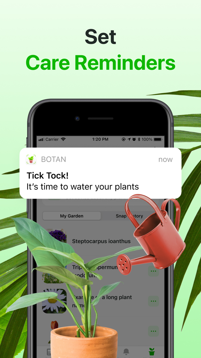 AI Plant Identifier App－Botan