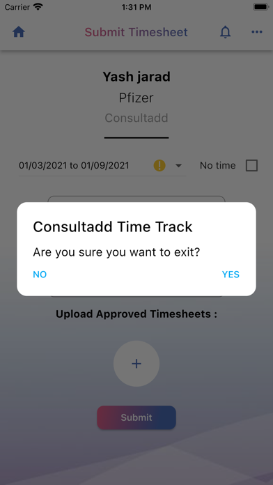 Consultadd Time Track Screenshot