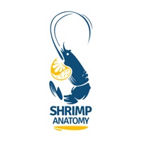 ShrimpAnatomy logo