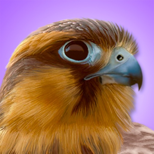 iBird Pro Guide to Birds icon