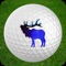 Download the Allenmore Golf Course App to enhance your golf experience on the course