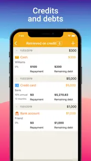 home bookkeeping iphone screenshot 4