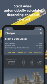 Flexigas Europe Sizing Tool screenshot