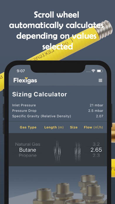 Flexigas Europe Sizing Toolのおすすめ画像2