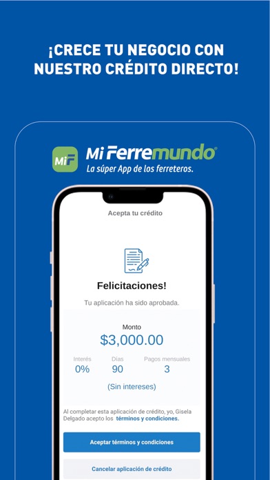Mi Ferremundo Screenshot