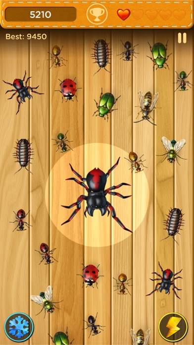 Bugs Smasher - Protect houses Screenshot