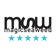 MSW Surf Pronóstico