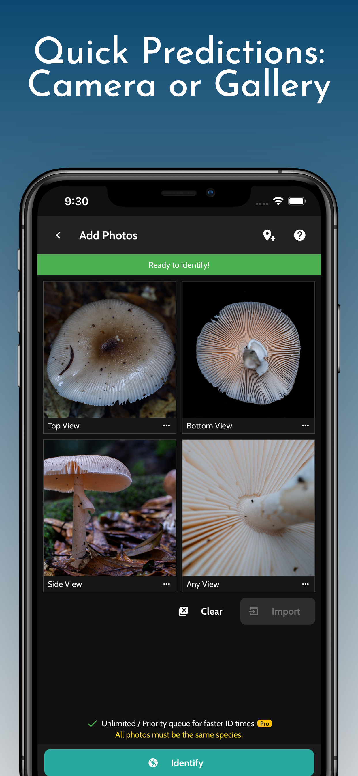 ShroomID - Identify Mushrooms