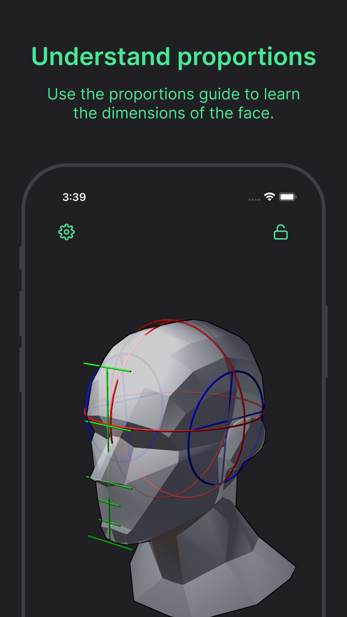 Head Model Studio - Art Study