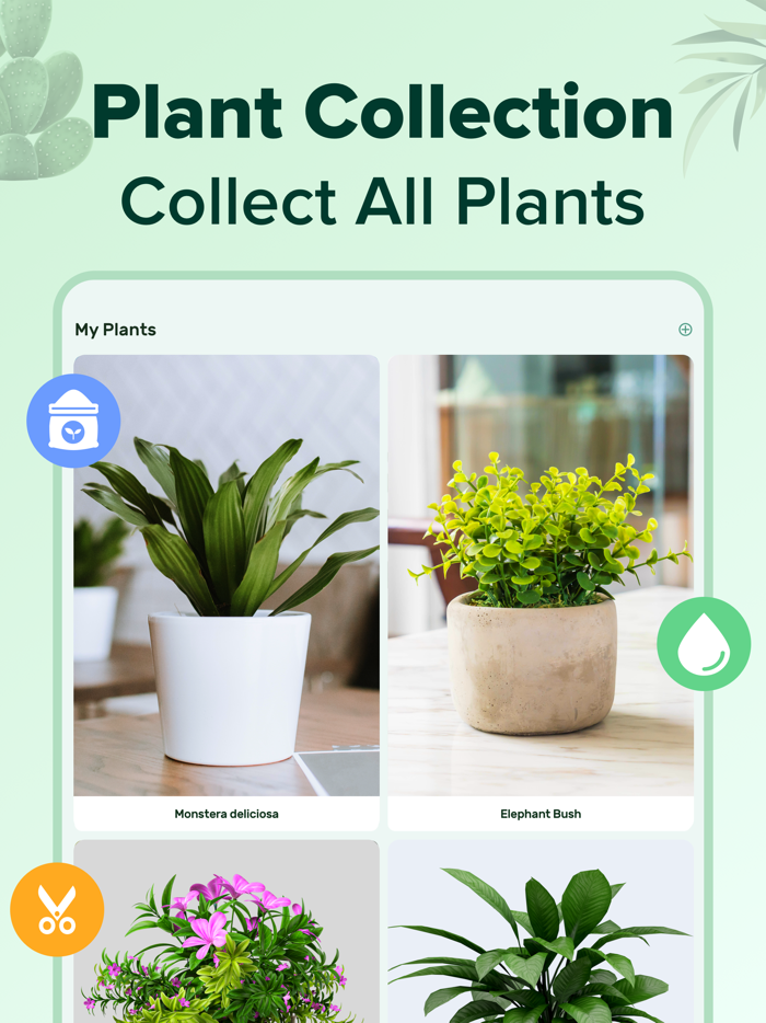PlantNow-Plant Identification