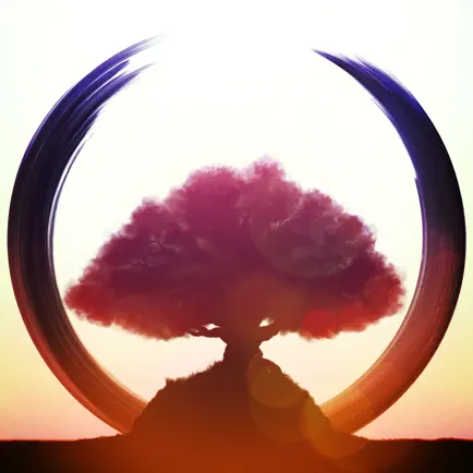 Kanso, your moment of Zen Читы