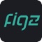Icon FigZ