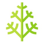 Dill