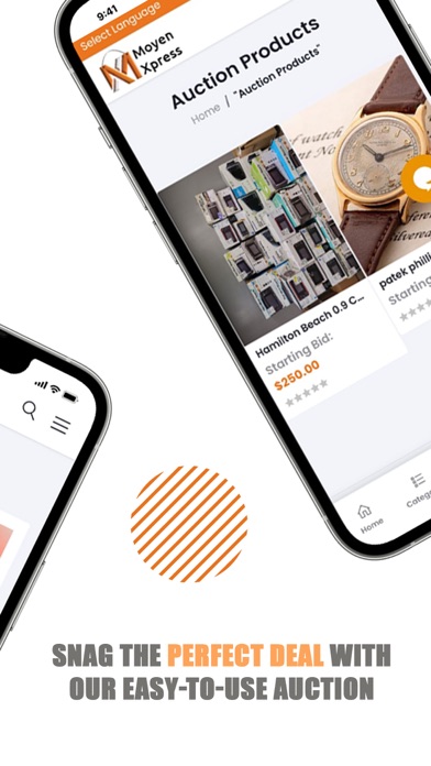 MoyenXpress Screenshot