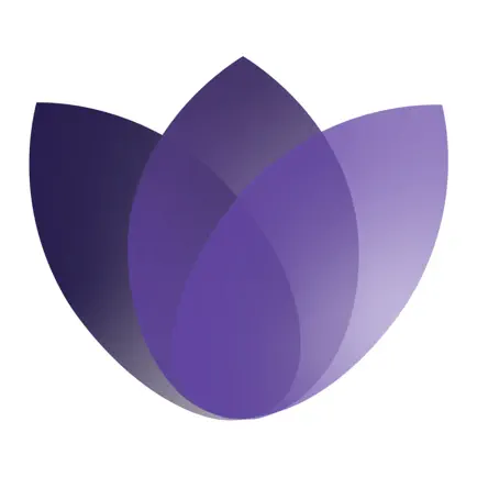 Neurobit Zen Читы