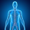 Nervous System Medical Terms icon